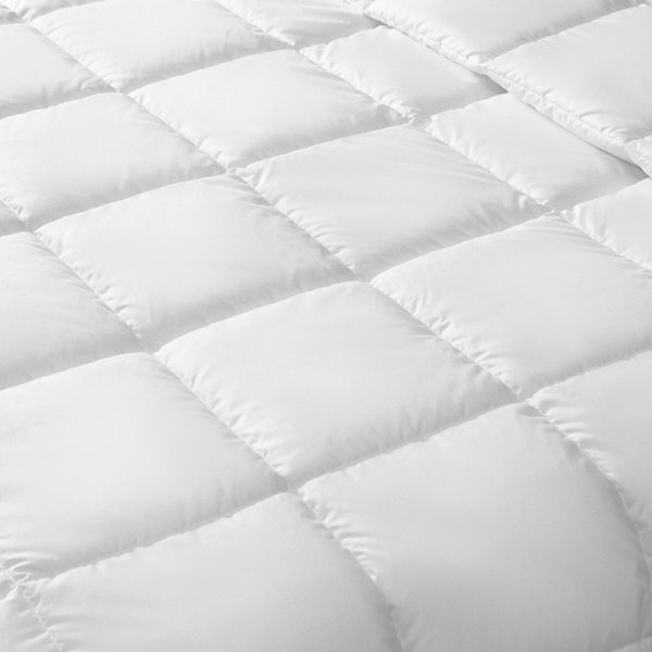 Alwyn Home Summer Goose Down Comforter & Reviews Wayfair